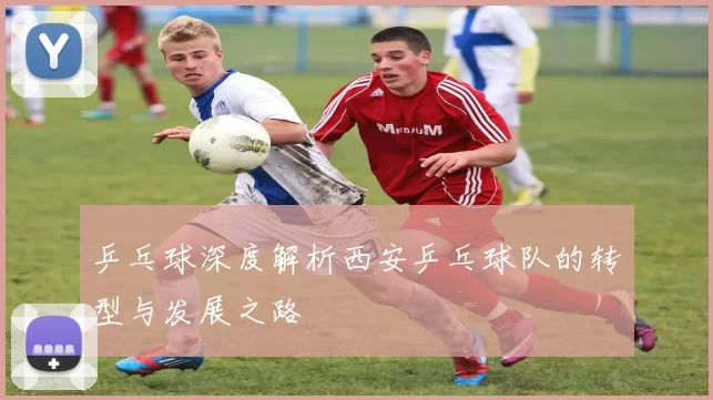 乒乓球深度解析西安乒乓球队的转型与发展之路