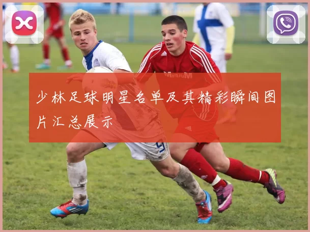 少林足球明星名单及其精彩瞬间图片汇总展示