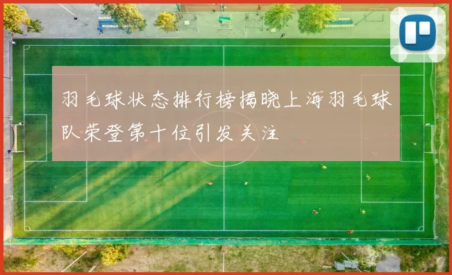 羽毛球状态排行榜揭晓上海羽毛球队荣登第十位引发关注