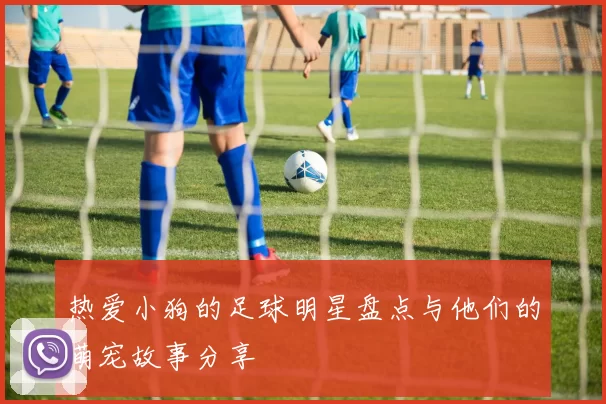 热爱小狗的足球明星盘点与他们的萌宠故事分享