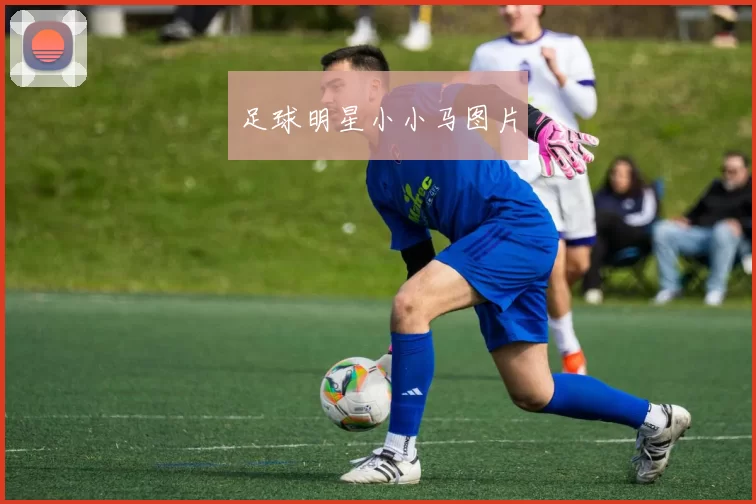 足球明星小小马图片