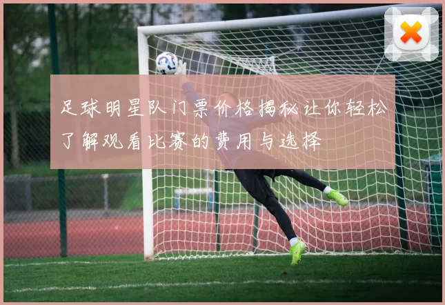 足球明星队门票价格揭秘让你轻松了解观看比赛的费用与选择